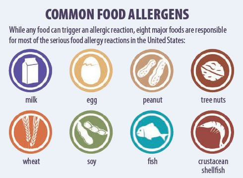 Burritoville Mex Food - Food Allergies - Food Allergens - Icons of different common Food Allergens